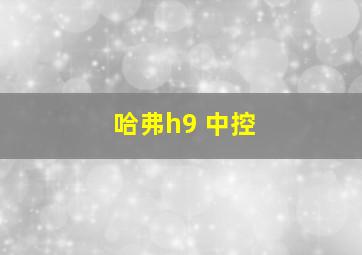 哈弗h9 中控